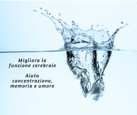L'IMPORTANZA DELL'ACQUA